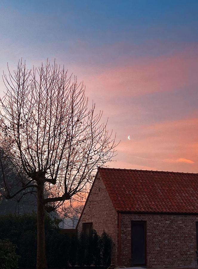 Bloemendale Guesthouse Brugge Ngoại thất bức ảnh